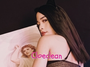 Cloeclean