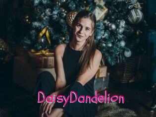 DaisyDandelion