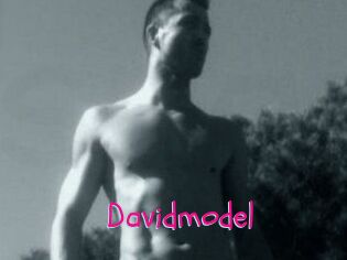 Davidmodel