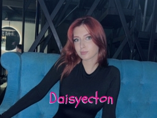 Daisyecton