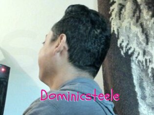Dominicsteele