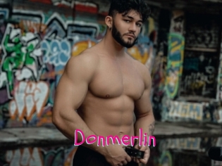 Donmerlin