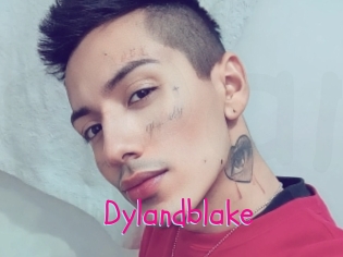 Dylandblake