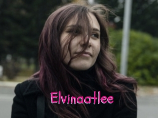 Elvinaatlee