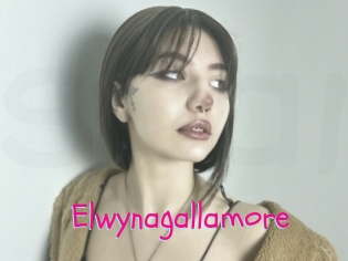 Elwynagallamore