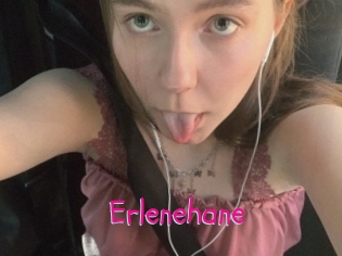 Erlenehane