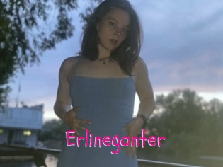 Erlineganter