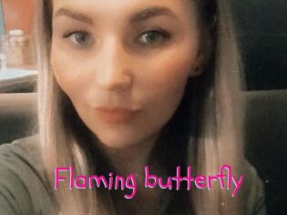 Flaming_butterfly