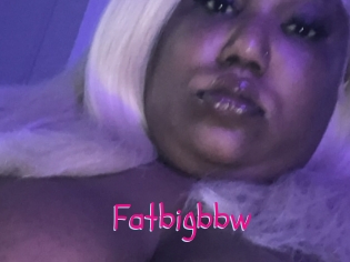 Fatbigbbw