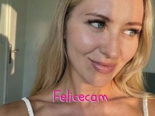 Felicecam