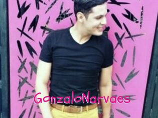 GonzaloNarvaes