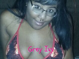 Grey_Ivy