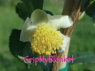 GripMyBlanket