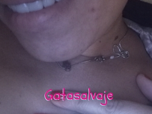 Gatasalvaje