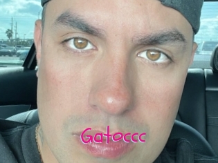 Gatoccc