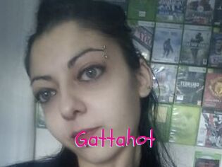 Gattahot