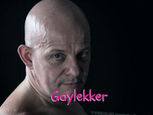 Gaylekker