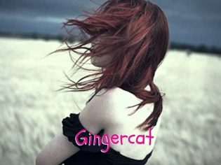 Gingercat