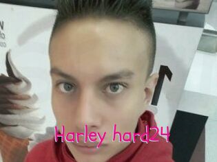 Harley_hard24