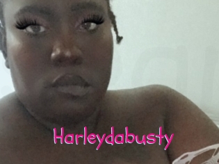 Harleydabusty