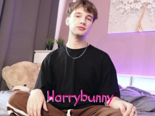 Harrybunny