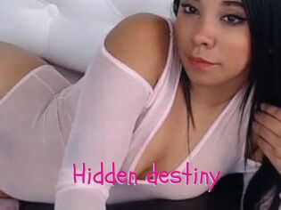 Hidden_destiny