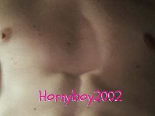 Hornyboy2002