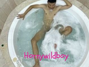 Hornywildboy