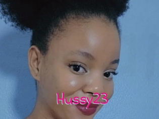 Hussy23