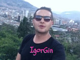 IgorGin