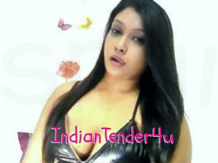 IndianTender4u