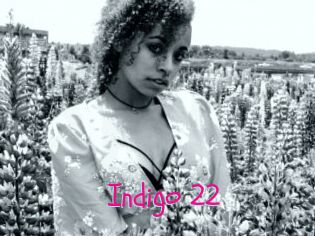 Indigo_22