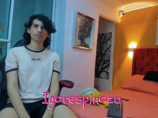 Igorespinoza