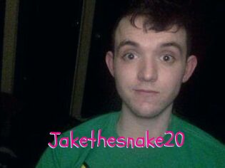 Jakethesnake20