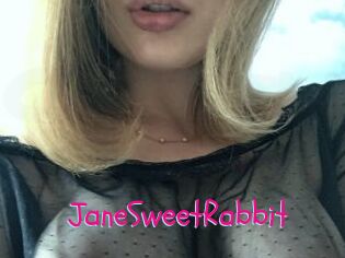 JaneSweetRabbit