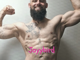 Jayybird