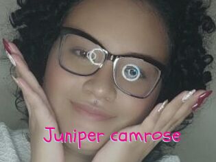 Juniper_camrose