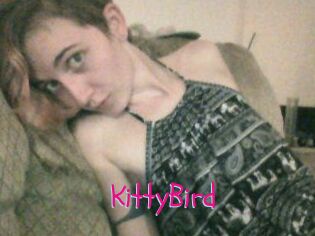 KittyBird