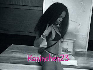 Kaninchen23