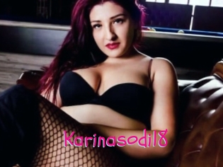 Karinasodi18