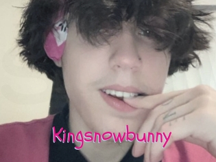 Kingsnowbunny