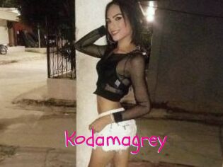 Kodamagrey