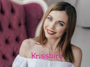 Krissbird