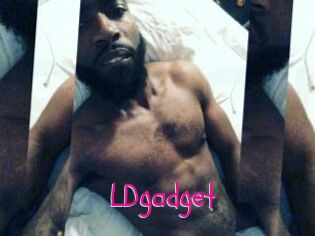 LDgadget