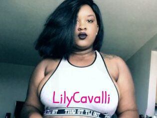 Lily_Cavalli