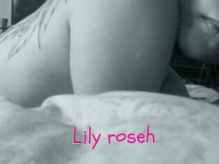 Lily_roseh