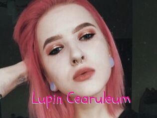 Lupin_Cearuleum