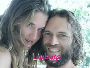 Luvbugs