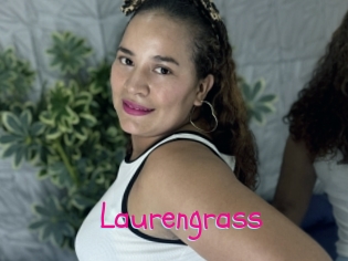 Laurengrass