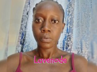 Lavenode